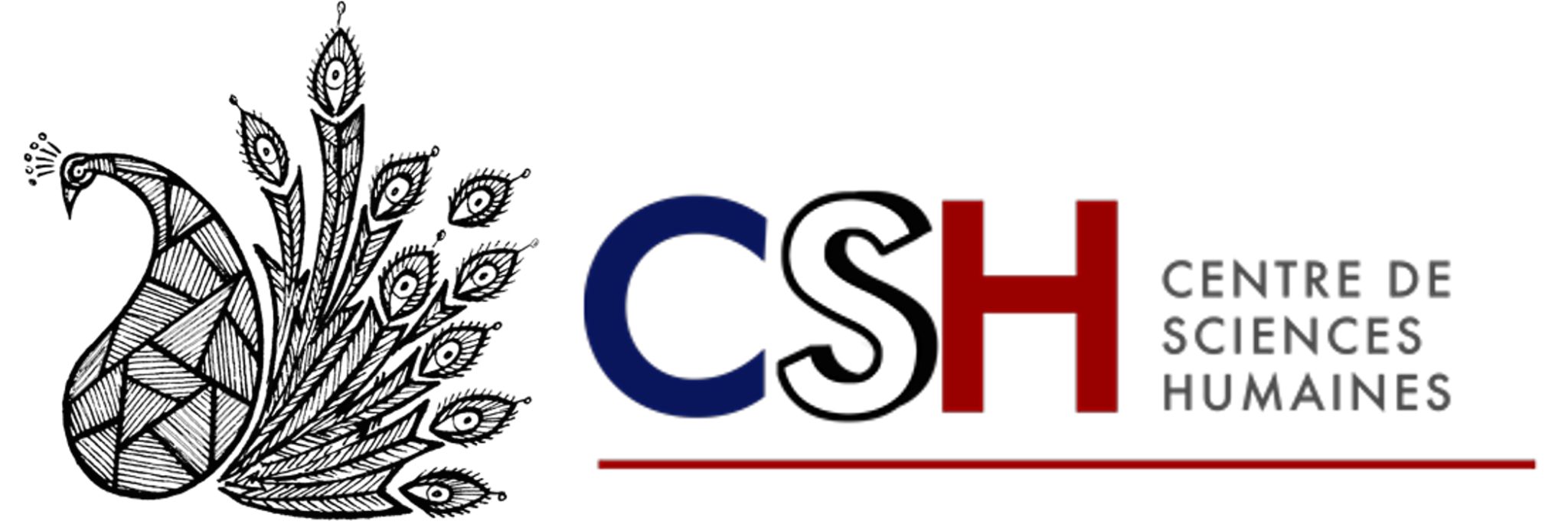 CSH Delhi